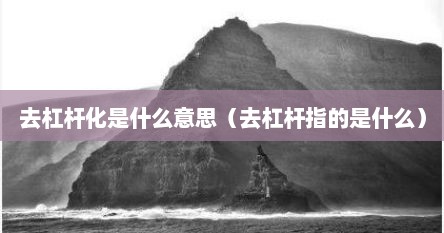 去杠杆化是什么意思（去杠杆指的是什么）
