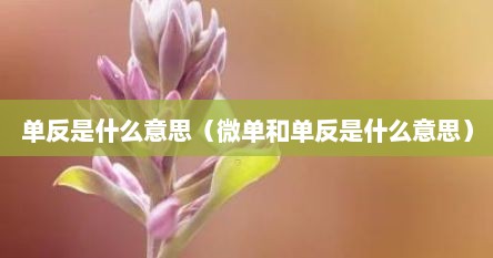 单反是什么意思（微单和单反是什么意思）