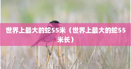 世界上最大的蛇55米（世界上最大的蛇55米长）