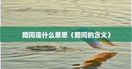 陪同是什么意思（陪同的含义）