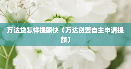 万达贷怎样提额快（万达贷要自主申请提额）