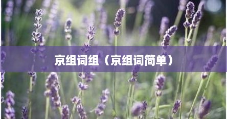 京组词组（京组词简单）
