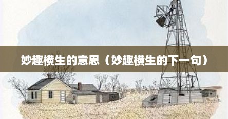 妙趣横生的意思（妙趣横生的下一句）