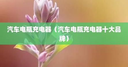 汽车电瓶充电器（汽车电瓶充电器十大品牌）
