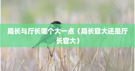 局长与厅长哪个大一点（局长官大还是厅长官大）