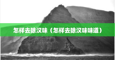 怎样去除汉味（怎样去除汉味味道）