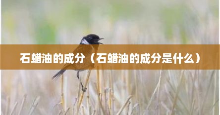 石蜡油的成分（石蜡油的成分是什么）