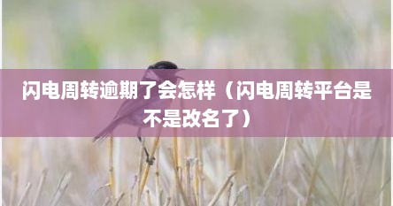 闪电周转逾期了会怎样（闪电周转平台是不是改名了）