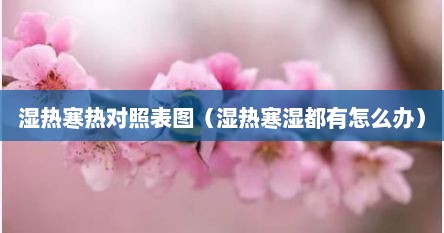 湿热寒热对照表图（湿热寒湿都有怎么办）