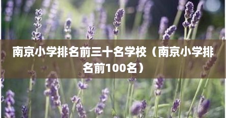 南京小学排名前三十名学校（南京小学排名前100名）