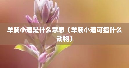 羊肠小道是什么意思（羊肠小道可指什么动物）