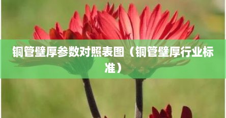 铜管壁厚参数对照表图（铜管壁厚行业标准）