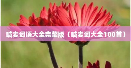 喊麦词语大全完整版（喊麦词大全100首）