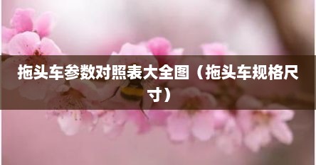 拖头车参数对照表大全图（拖头车规格尺寸）