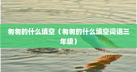 匆匆的什么填空（匆匆的什么填空词语三年级）