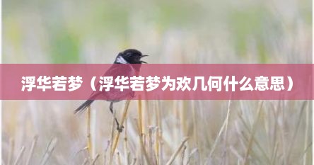 浮华若梦（浮华若梦为欢几何什么意思）