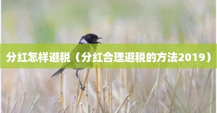 分红怎样避税（分红合理避税的方法2019）