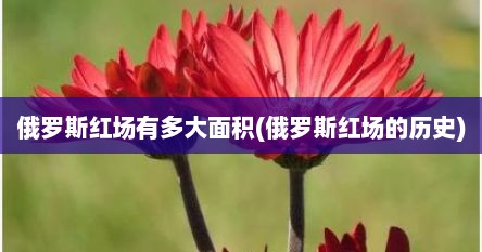 俄罗斯红场有多大面积(俄罗斯红场的历史)