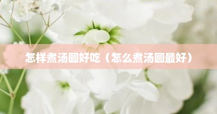 怎样煮汤圆好吃（怎么煮汤圆最好）