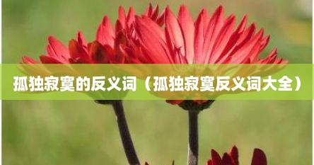 孤独寂寞的反义词（孤独寂寞反义词大全）