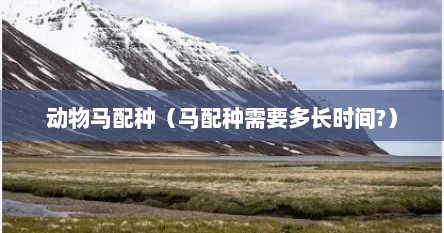 动物马配种（马配种需要多长时间?）