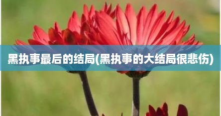 黑执事最后的结局(黑执事的大结局很悲伤)