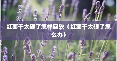 红薯干太硬了怎样回软（红薯干太硬了怎么办）