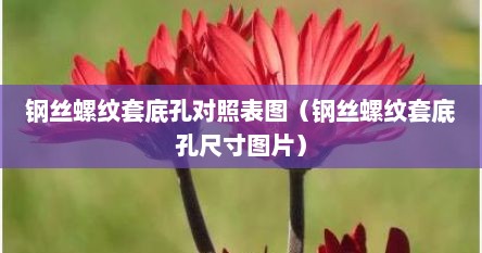 钢丝螺套底孔标准（钢丝螺套孔规格）