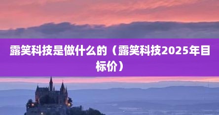 露笑科技是做什么的（露笑科技2025年目标价）