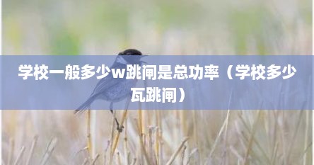学校一般多少w跳闸是总功率（学校多少瓦跳闸）