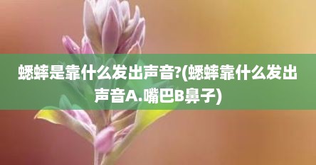 蟋蟀是靠什么发出声音?(蟋蟀靠什么发出声音A.嘴巴B鼻子)