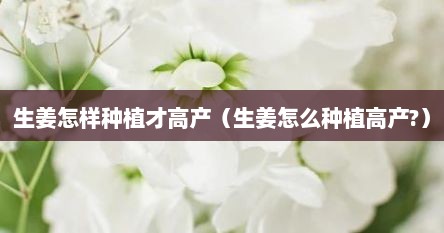 生姜怎样种植才高产（生姜怎么种植高产?）
