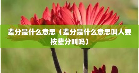 辈分是什么意思（辈分是什么意思叫人要按辈分叫吗）