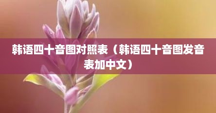 韩语四十音图对照表（韩语四十音图发音表加中文）