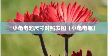 小龟电池尺寸对照表图（小龟电瓶）