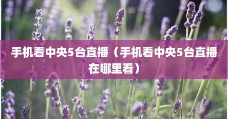 手机看中央5台直播电视用什么软件好（用手机看中央5台直播用哪个软件）