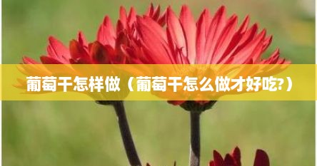 葡萄干怎样做（葡萄干怎么做才好吃?）