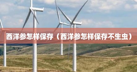 西洋参怎样保存（西洋参怎样保存不生虫）