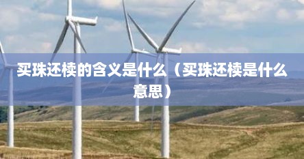 买珠还椟打一成语（买珠还椟告诉我们什么道理）