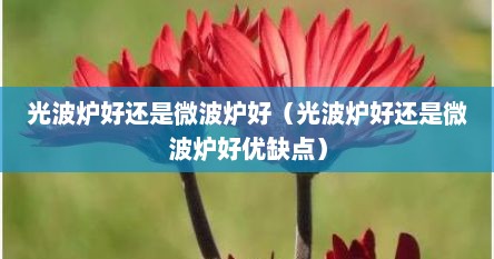 光波炉好还是微波炉好（光波炉好还是微波炉好优缺点）