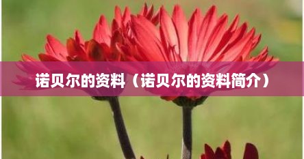 诺贝尔的资料（诺贝尔的资料简介）