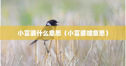 小富婆什么意思（小富婆啥意思）
