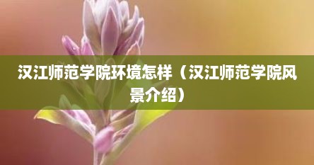 汉江师范学院环境怎样（汉江师范学院风景介绍）