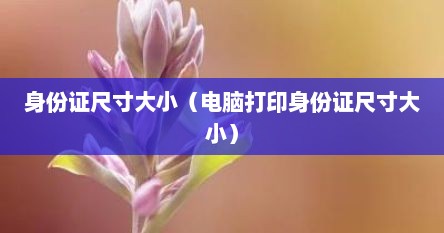 身份证尺寸大小（电脑打印身份证尺寸大小）