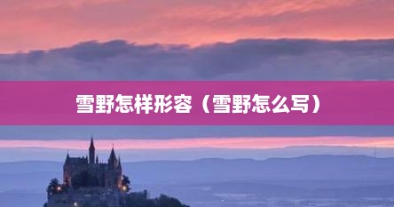 雪野怎样形容（雪野怎么写）