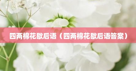四两棉花歇后语补充（四两棉花 歇后语是什么谐音）