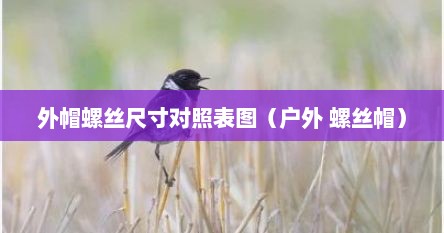 螺丝帽型号尺寸（户外品牌螺丝帽）