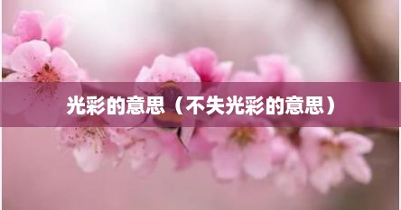 光彩的意思（不失光彩的意思）