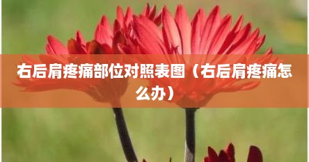 右后肩疼痛有哪些原因导致（右后肩疼怎么回事）