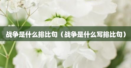 战争是什么排比句（战争是什么写排比句）